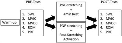 Effects of a Single Proprioceptive Neuromuscular Facilitation Stretching Exercise With and Without Post-stretching Activation on the Muscle Function and Mechanical Properties of the Plantar Flexor Muscles